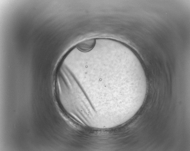 X0000068301511200605121950