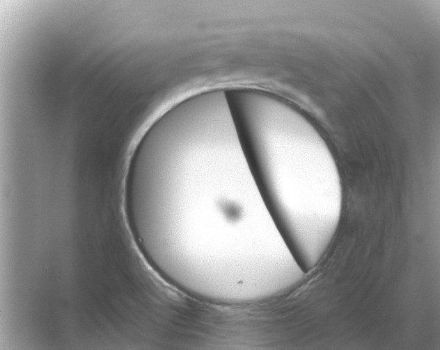 X0000068301512200605121950