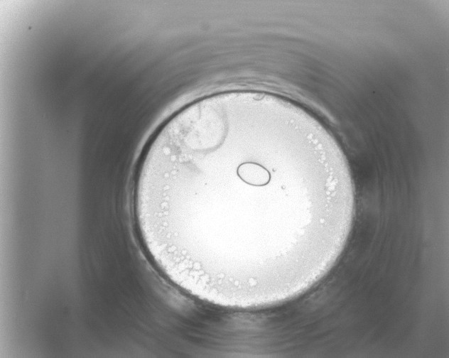 X0000068301514200605121950