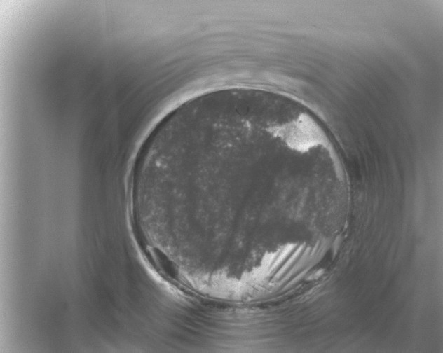 X0000068301515200605121950