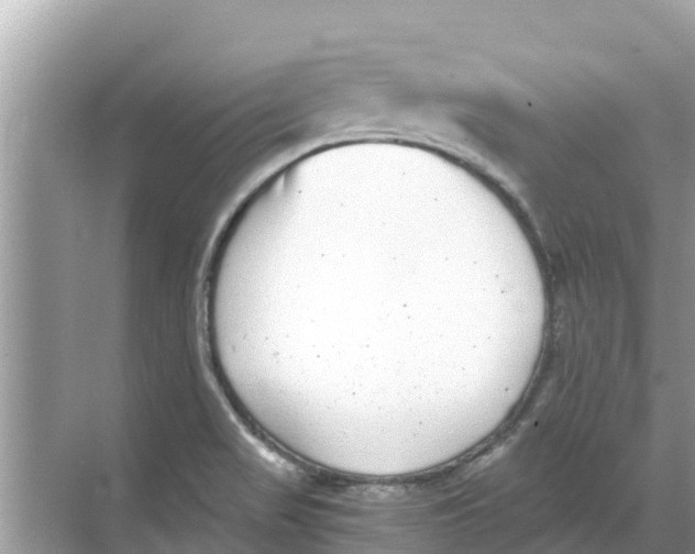 X0000068301517200605121950