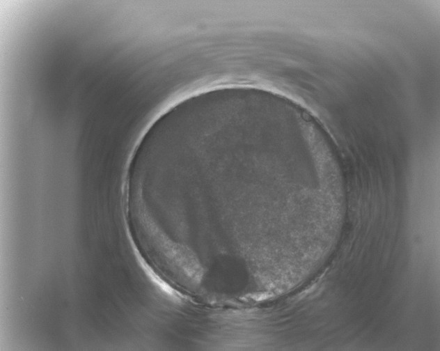 X0000068301519200605121950