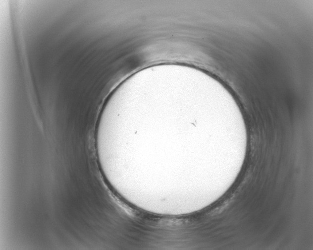 X0000068301521200605121950