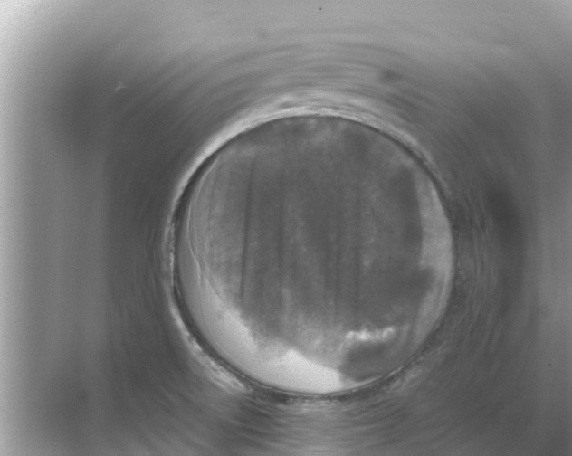 X0000068301522200605121951