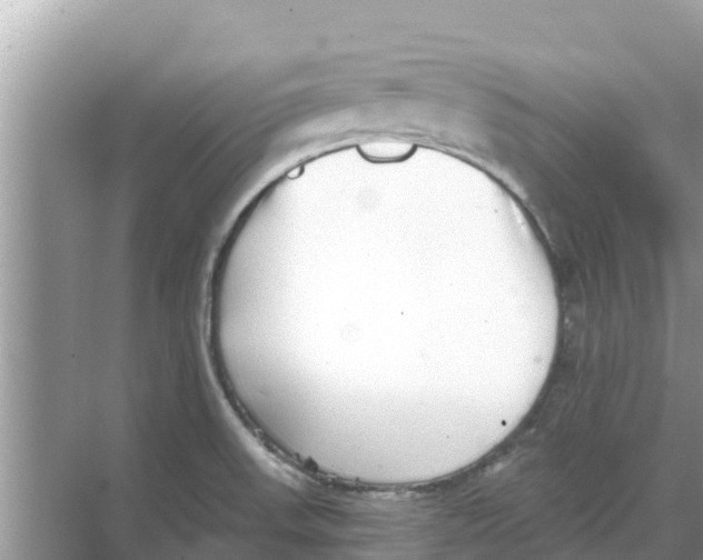 X0000068301523200605121951