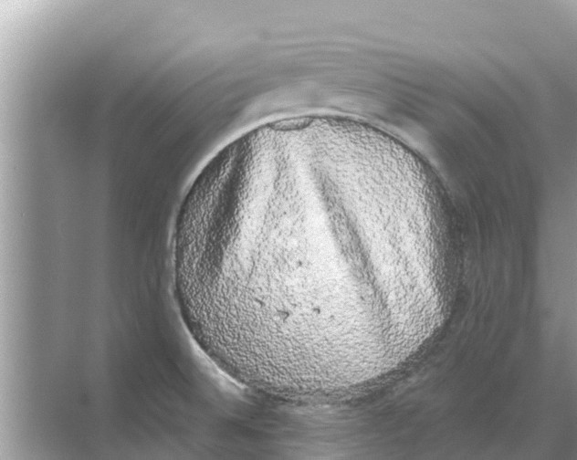 X0000068301524200605121951