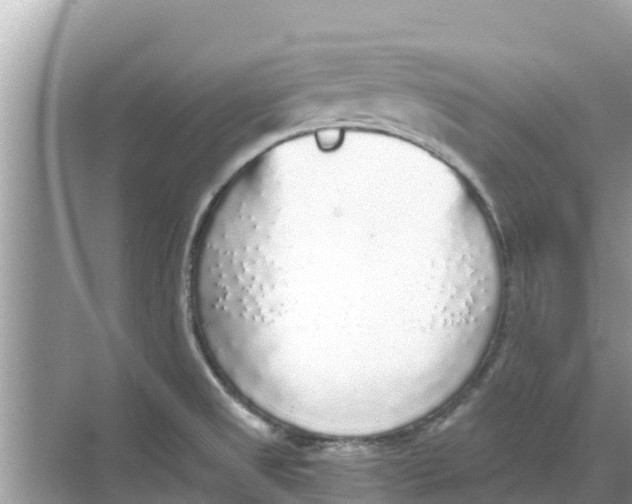 X0000068301525200605121951