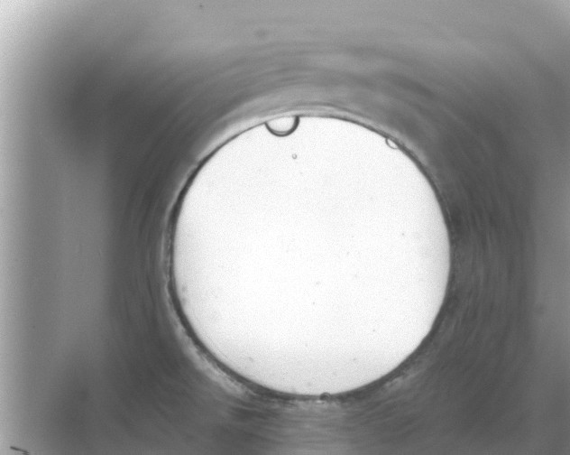 X0000068301526200605121951