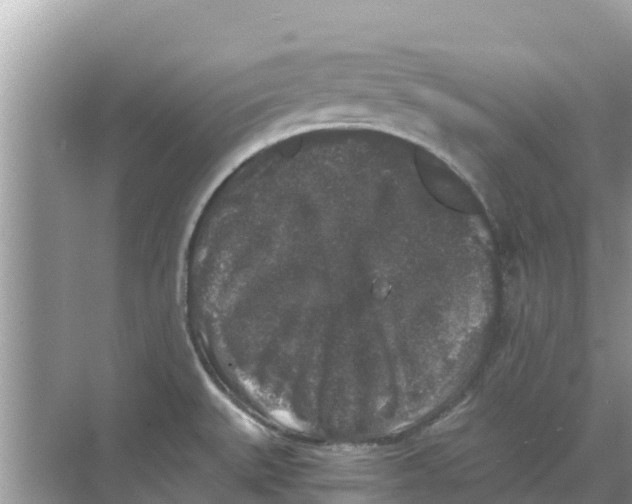 X0000068301527200605121951