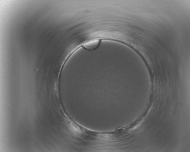 X0000068301529200605121951