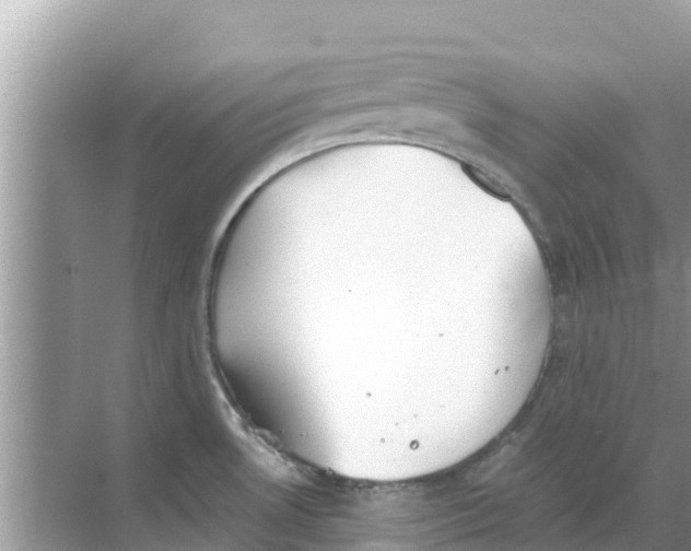 X0000068301530200605121951