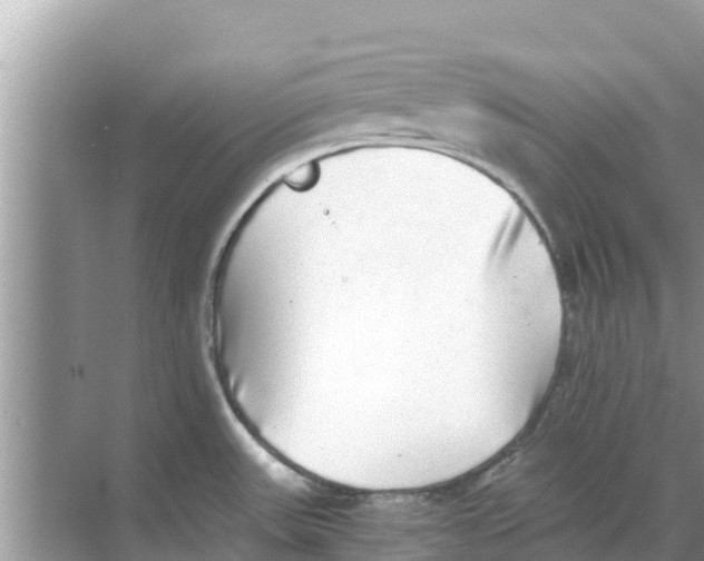 X0000068301531200605121951