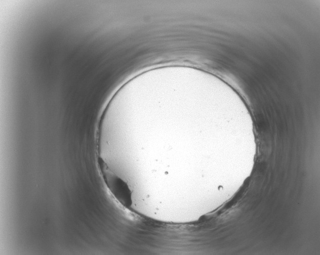 X0000068301532200605121951