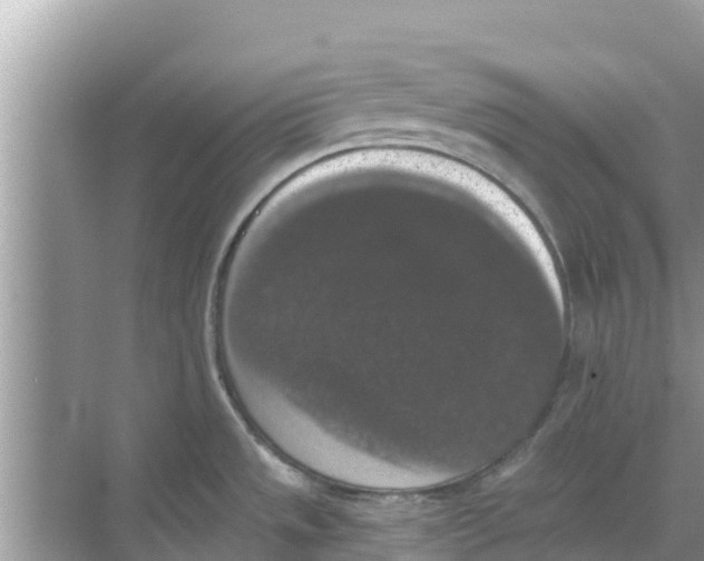 X0000068301533200605121951