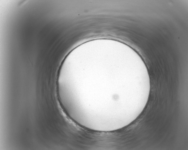 X0000068301534200605121951