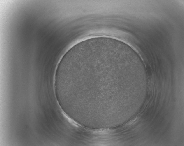 X0000068301535200605121951