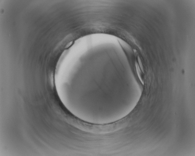 X0000068300027200605191954