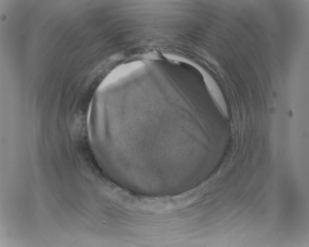 X0000068300029200605191954