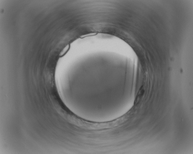 X0000068300031200605191954