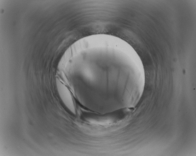 X0000068300035200605191954