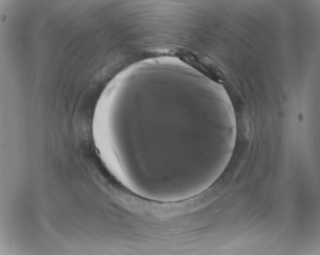 X0000068300039200605191954