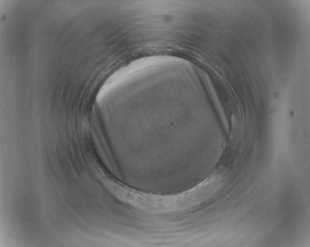 X0000068300048200605191954