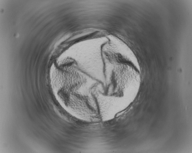X0000068300050200605191953