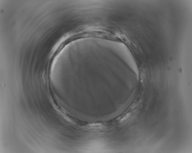 X0000068300052200605191953