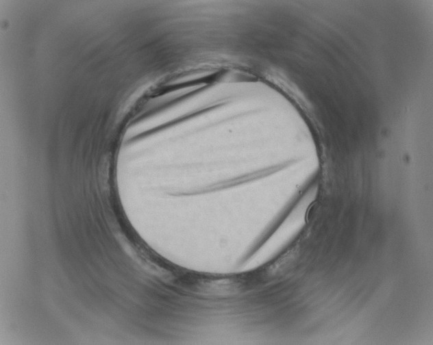 X0000068300058200605191953