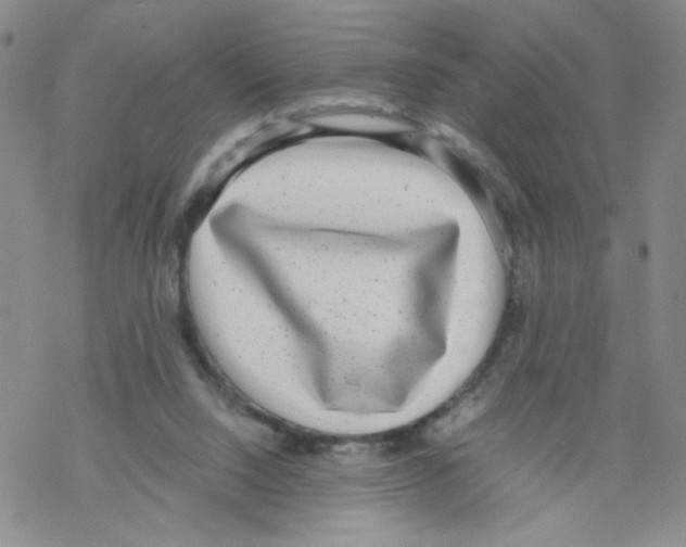 X0000068300064200605191953
