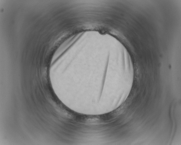 X0000068300066200605191953