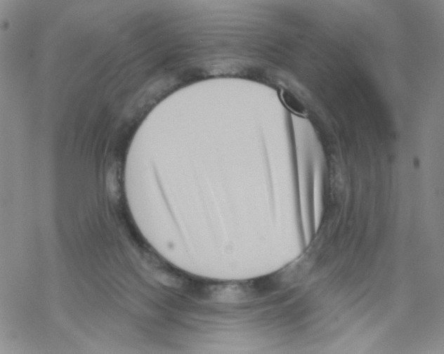X0000068300074200605191953