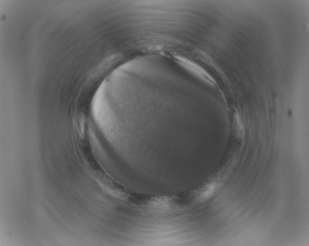 X0000068300076200605191954