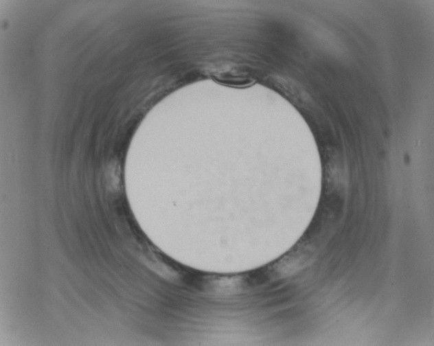 X0000068300081200605191954