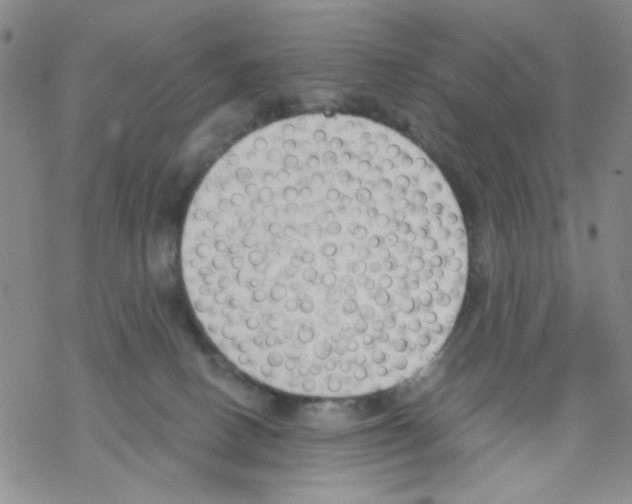 X0000068300082200605191954