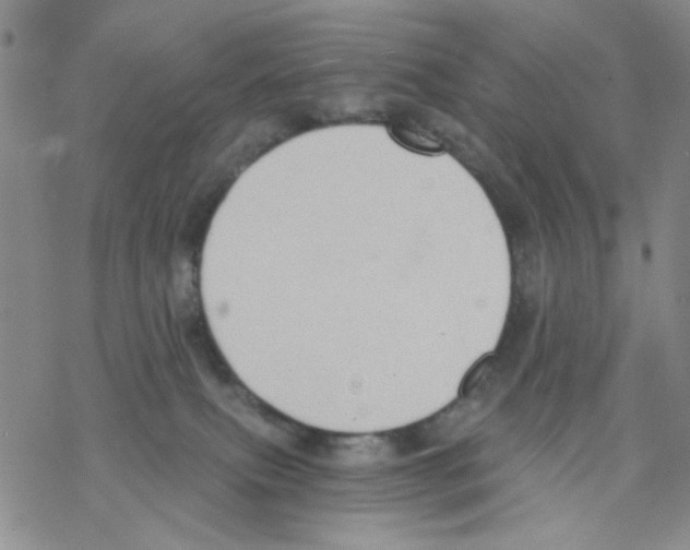 X0000068300087200605191954