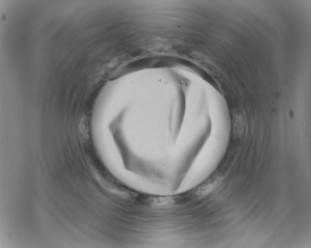 X0000068300088200605191954