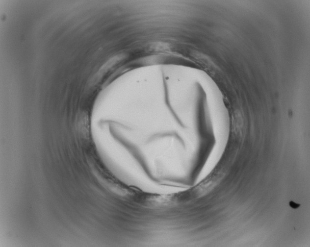 X0000068300092200605191954