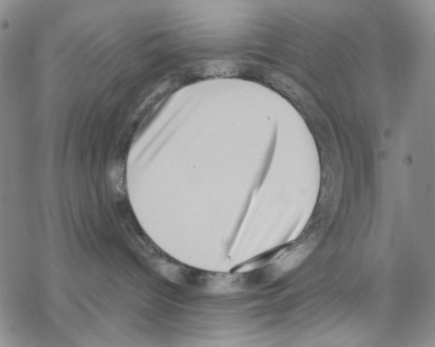 X0000068300096200605191954