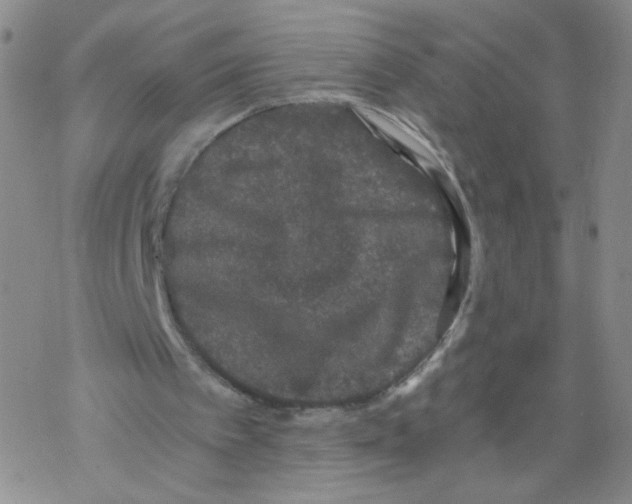 X0000068300097200605191953