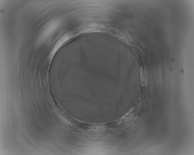 X0000068300099200605191953