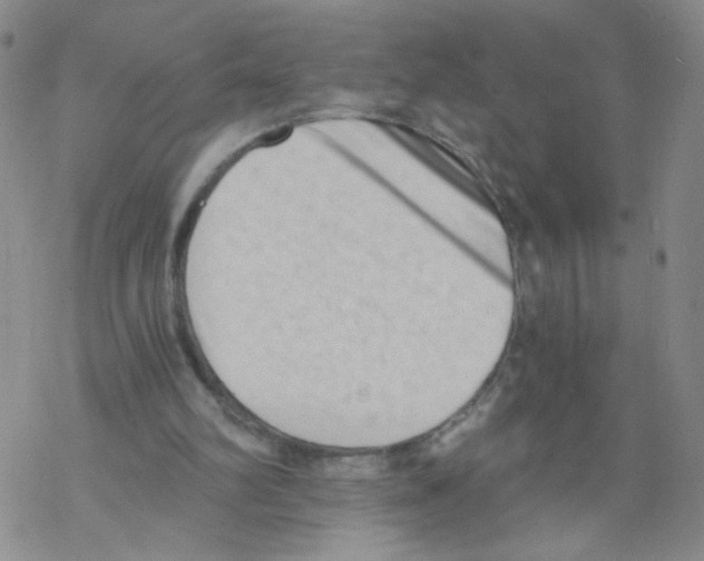 X0000068300102200605191953