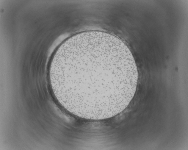X0000068300104200605191953