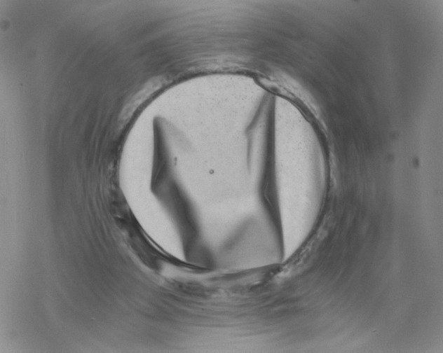 X0000068300105200605191953