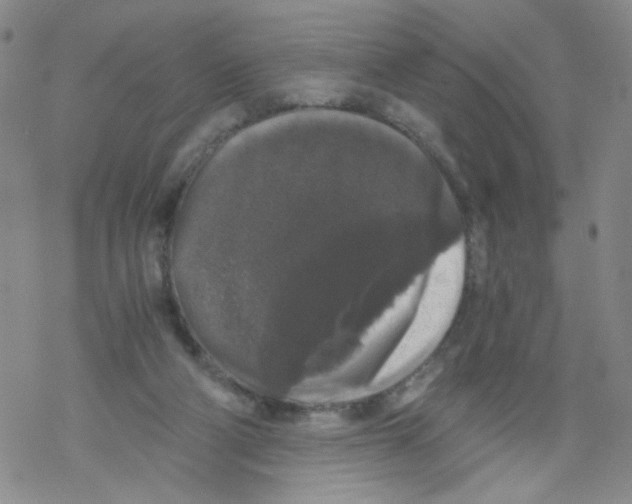 X0000068300114200605191953