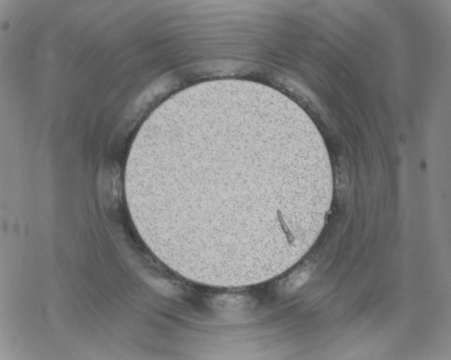 X0000068300119200605191953