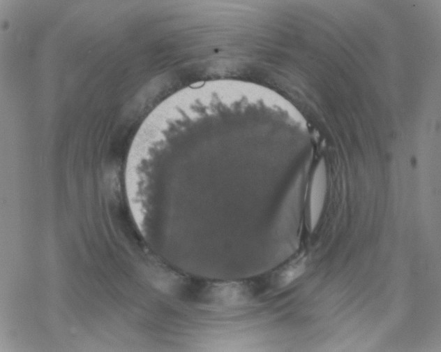 X0000068300127200605191953
