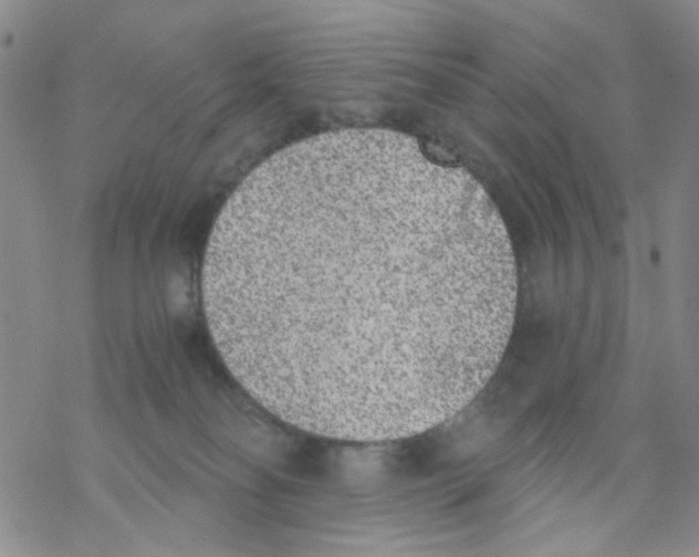 X0000068300134200605191952