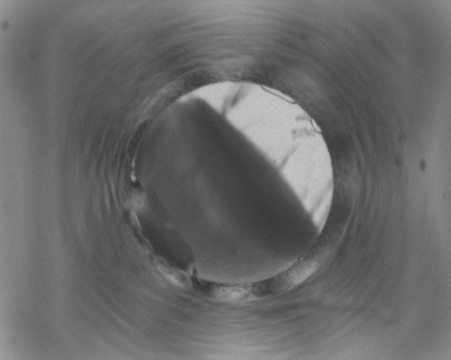 X0000068300139200605191952