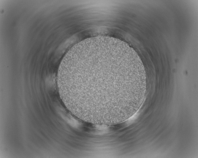 X0000068300144200605191952